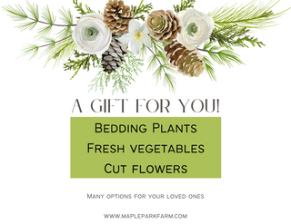 Give the Gift of Nourishment This Season