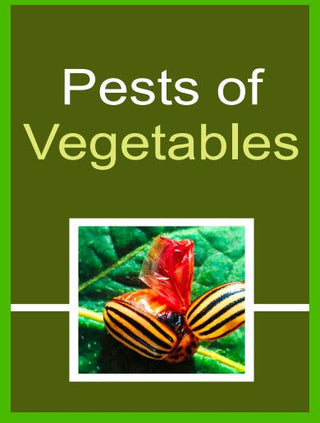 Pests of Vegetables
