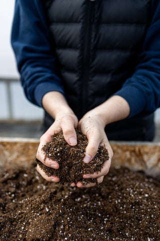 Seeding bench at Maple Park Farm. Promix is used to ensure healthy seedlings in our local greenhouse. We grow bedding plants, cut flowers and vegetables.