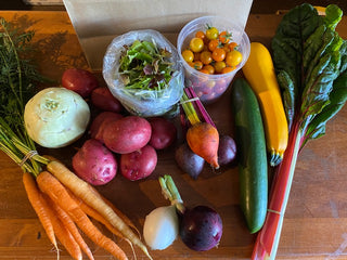 A sample of vegetables available at Maple Park Farm. Pictured are carrots, kohlrabi, zucchini, baby lettuce mix, greenhouse grown cherry tomatoes and cucumbers. onions, beets, swiss chard