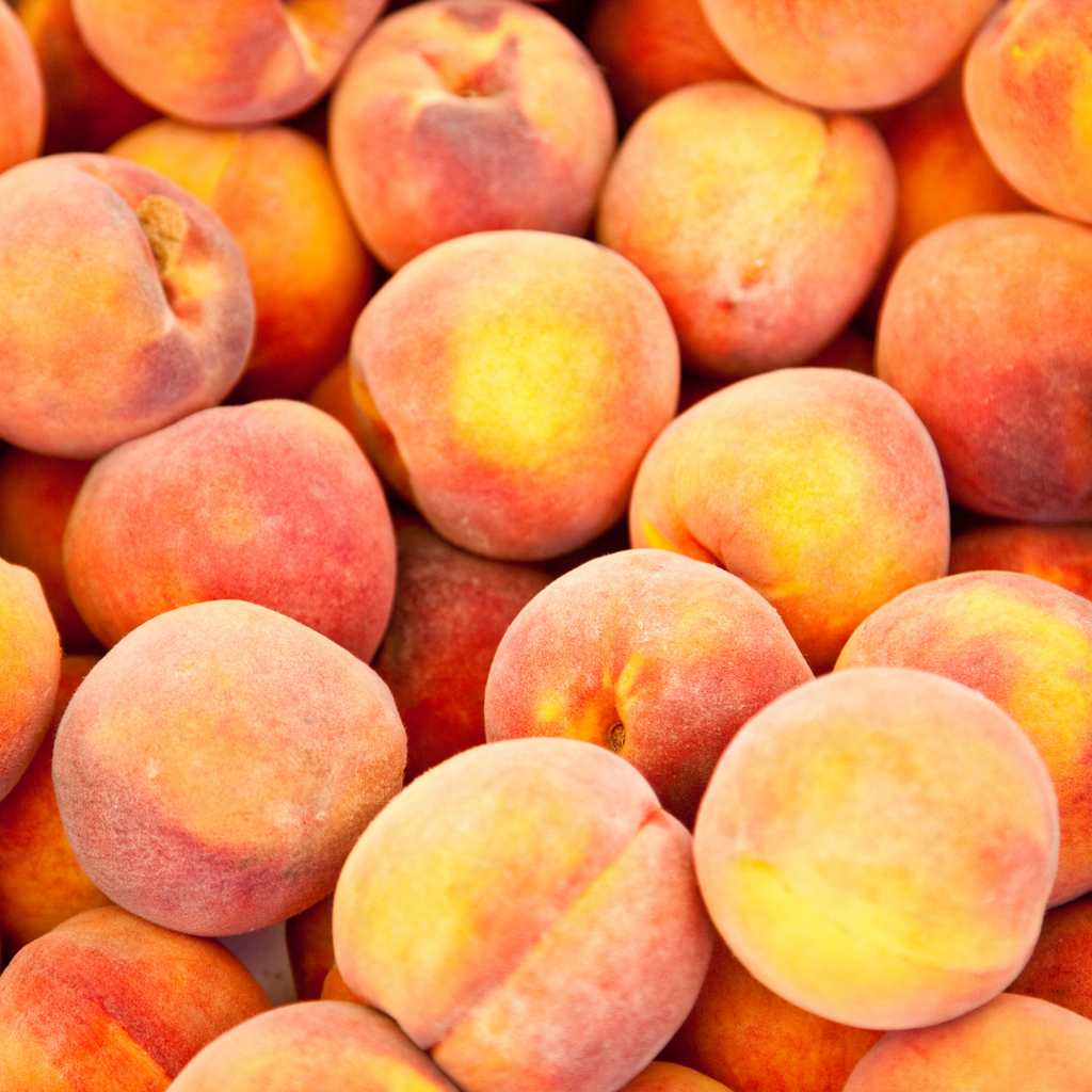 Peaches, Freestone Angela (Organic) – Maple Park Farm