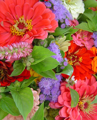July Bouquet Subscription – Fresh, Local, and Seasonal Flowers