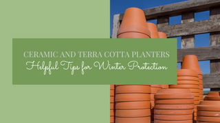 Ceramic and Terra Cotta Planters - Helpful Tips for Winter Protection
