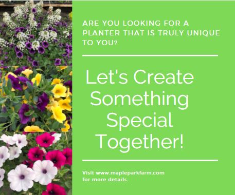 Are you looking for a planter made just for you? – Maple Park Farm