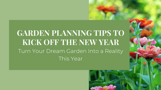 Garden Planning Tips to Kick Off the New Year