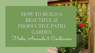 How to Build a Beautiful and Productive Patio Garden This Summer