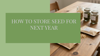 How to Store Garden Seeds for Next Year | Zone 3 Tips