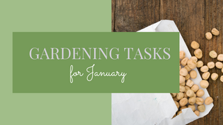 January Gardening Tasks for zone 3 gardeners