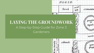 Laying the Groundwork: A Step-by-Step Guide for Zone 3 Gardeners