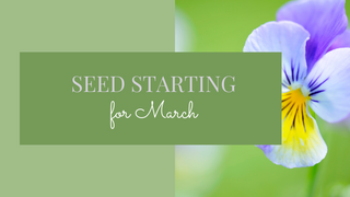 Seed Starting for March