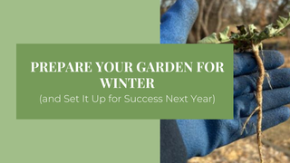 How to Prepare Your Garden for Winter (and Set It Up for Success Next Year)