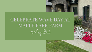 Celebrate National Wave Day at Maple Park Farm!
