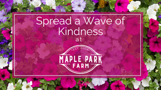 Let's Make Kindness Bloom