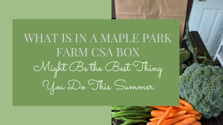 What's in a Maple Park Farm CSA Box and Why It Might Be The Best Thing You Do This Summer