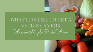 What It Is Like to Get a Vegetable CSA Box from Maple Park Farm