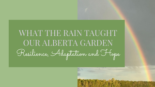 What Rain Taught Our Alberta Garden