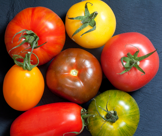 Mixed tomatoes.  Beefsteak to cherry tomatoes.