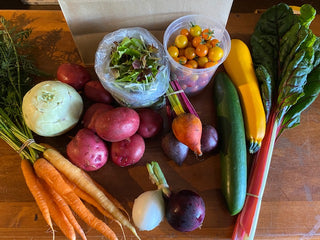 A sample of vegetables available at Maple Park Farm.  Pictured are carrots, kohlrabi, zucchini, baby lettuce mix, greenhouse grown cherry tomatoes and cucumbers. onions, beets, swiss chard