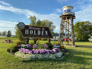 Communities in Bloom Partner Holden, AB.  This is the entrance sign into the town filled with mixed annuals grown at Maple Park Farm.
