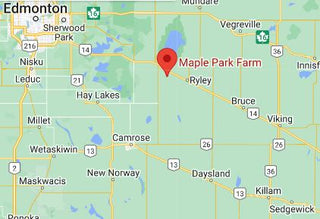 Google map showing location of Maple Park Farm.  Located between Tofield and Ryley just off highway 14.