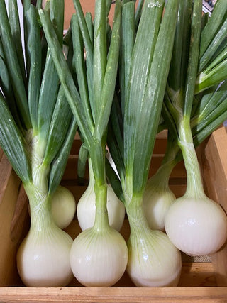 Onions (tops removed)