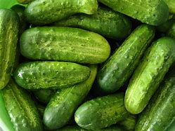 Pickling Cucumbers