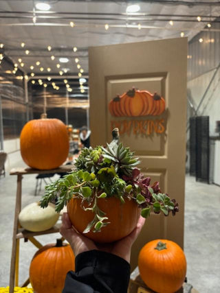 Pumpkin & Succulent Centerpiece