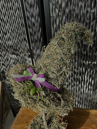 A handcrafted moss witch hat. Each hat has a whimsical, curved shape and is accented with natural touches like twine, a dried flower, and a small succulent, feathers and grasses creating a rustic and magical display.