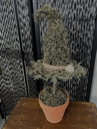 A handcrafted moss witch hat. Each hat has a whimsical, curved shape and is accented with natural touches like twine, a dried flower, and a small succulent, feathers and grasses creating a rustic and magical display.