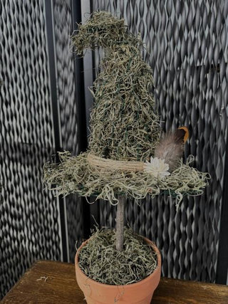 A handcrafted moss witch hat. Each hat has a whimsical, curved shape and is accented with natural touches like twine, a dried flower, and a small succulent, feathers and grasses creating a rustic and magical display.