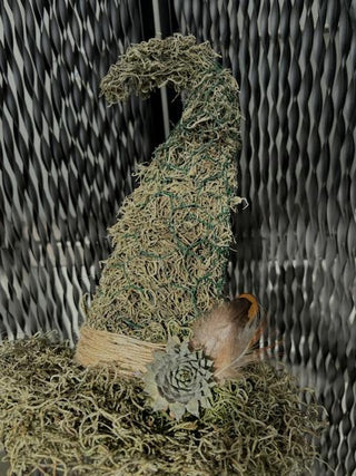 A handcrafted moss witch hat. Each hat has a whimsical, curved shape and is accented with natural touches like twine, a dried flower, and a small succulent, feathers and grasses creating a rustic and magical display.