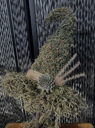 A handcrafted moss witch hat. Each hat has a whimsical, curved shape and is accented with natural touches like twine, a dried flower, and a small succulent, feathers and grasses creating a rustic and magical display.