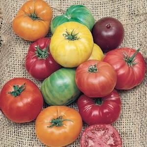 Tomato-Heirloom Rainbow Blend