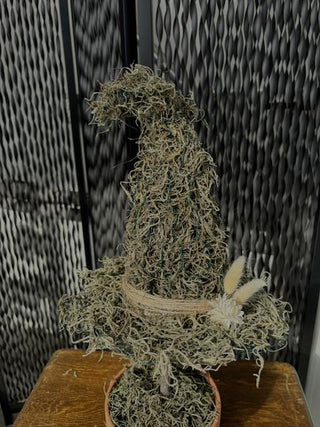 A handcrafted moss witch hat. Each hat has a whimsical, curved shape and is accented with natural touches like twine, a dried flower, and a small succulent, feathers and grasses creating a rustic and magical display.