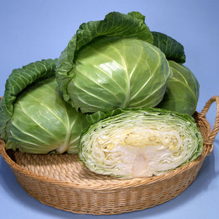 Cabbage, Tendersweet