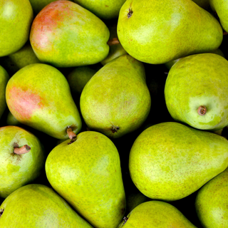 Pears, Anjou