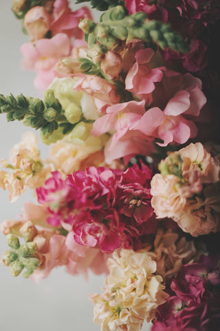 U Pick Flower Experience