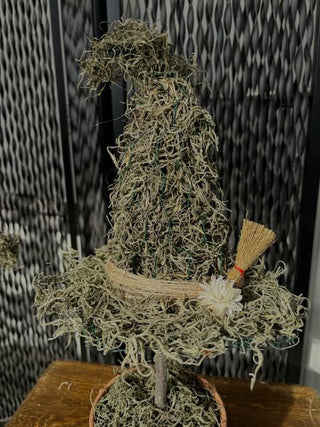 A handcrafted moss witch hat. Each hat has a whimsical, curved shape and is accented with natural touches like twine, a dried flower, and a small succulent, feathers and grasses creating a rustic and magical display.
