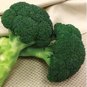 Broccoli (Garden transplants)