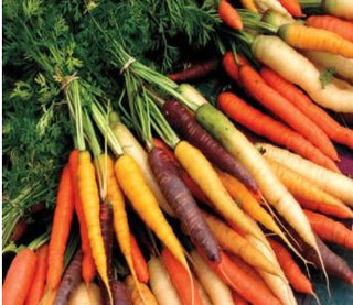 Carrots, Mixed Colors