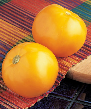 Tomato-Carolina Gold